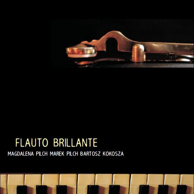 Duo Flute and Piano in B-Flat Major, Op. 110, No. 1: II. Adagio patetico