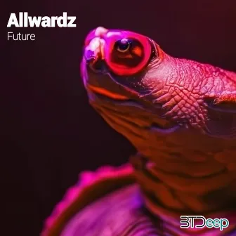 Future by Allwardz