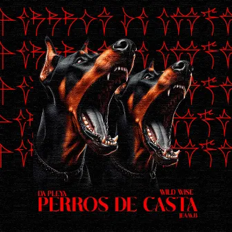 Perros de Casta by Da pleya