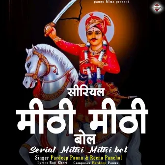 Serial Mithi Mithi Bol by Reena Panchal