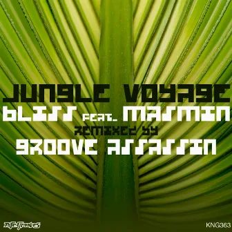 Jungle Voyage by Masmin