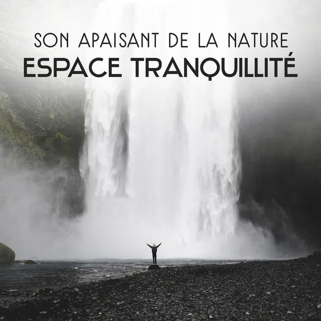 Son apaisant de la nature: Espace tranquillité - Rafraîchissement total, Prenez un moment pour vous détendre, L'équilibre et la stabilité boost