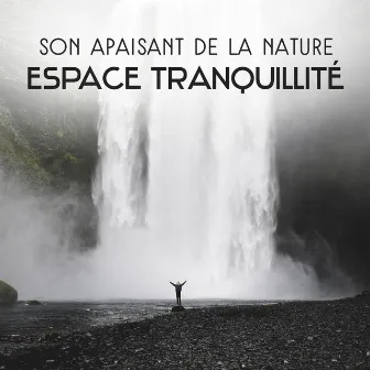 Son apaisant de la nature: Espace tranquillité - Rafraîchissement total, Prenez un moment pour vous détendre, L'équilibre et la stabilité boost by Zone de Sons Naturels