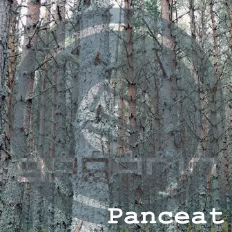 Panceat Remixes by Gagarin