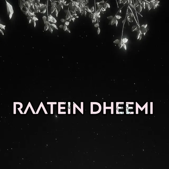 Raatein Dheemi