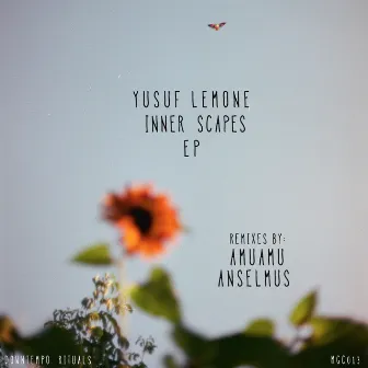 Inner Scapes by Yusuf Lemone