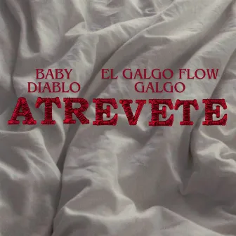 Atrevete by El Galgo Flow Galgo