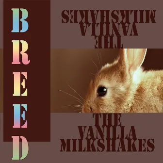 Breed by The Vanilla Milkshakes