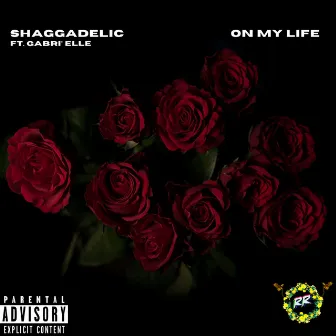 On My Life by Shaggadelic