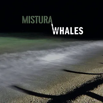 Whales by Mistura