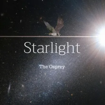 Starlight by The Osprey