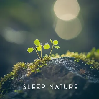 Hushed Zone by Sleep Nature Rain Sound