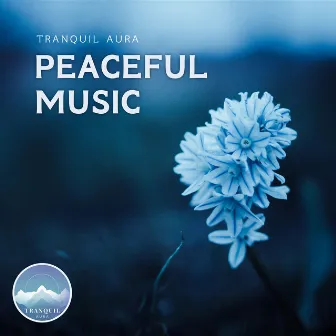 Peaceful Music by Augmented Meditation