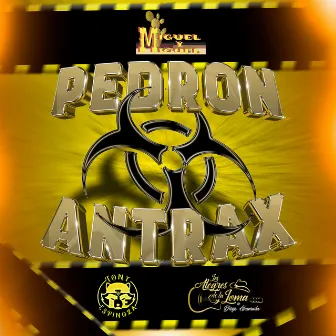 Pedron Antrax by Tony Espinoza