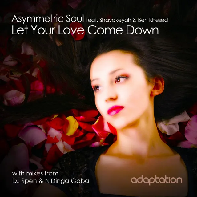 Let Your Love Come Down - DJ Spen & N'Dinga Gaba Remix