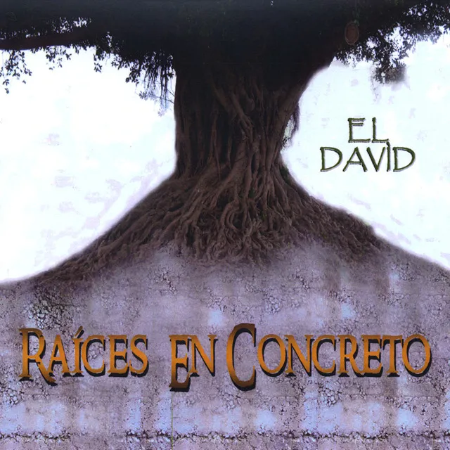 Raices En Concreto