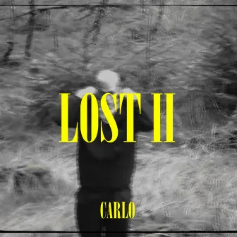 Lost 2 by carlo