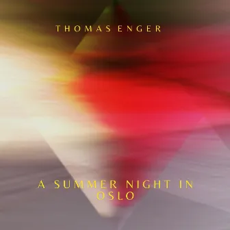 A Summer Night in Oslo by Thomas Enger