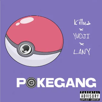 Pokegang by killua