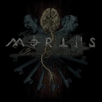 Perfectly Defect by Mortiis