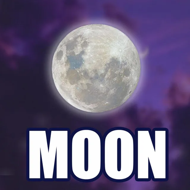 Moon