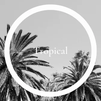 Tropical by Maximilian