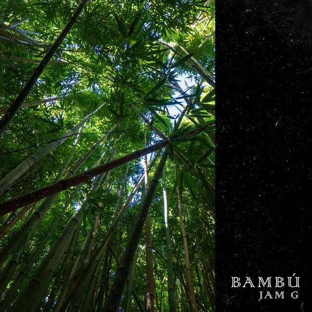 Bambú