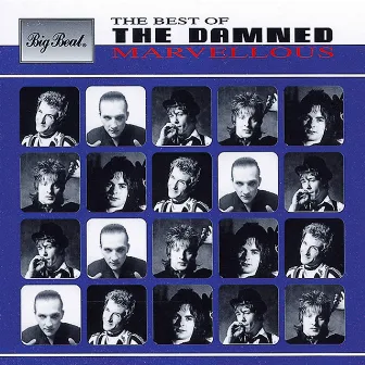 Marvellous: The Best Of by The Damned