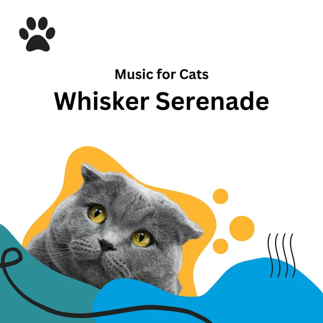 Whisker Wonders Music for Cats