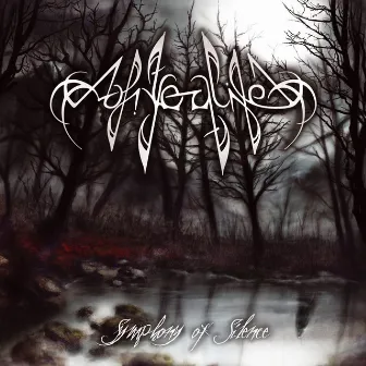 Symphony of Silence by Afterlife