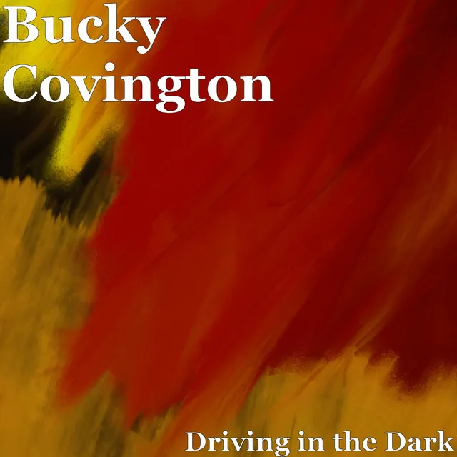 Driving in the Dark