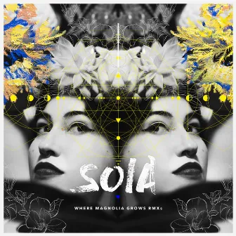 Where Magnolia Grows Remixes by Soia