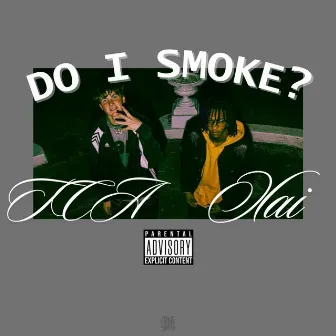 do i smoke? by TCA