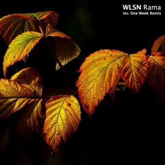 Rama by WLSN