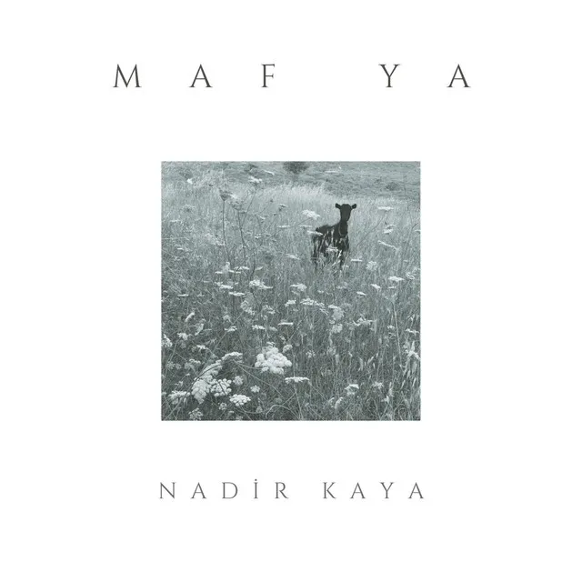 Mafya (Live)