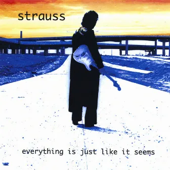 Everything Is Just Like It Seems by Strauss