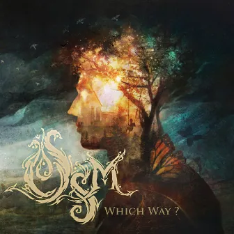 Which Way? by OSM