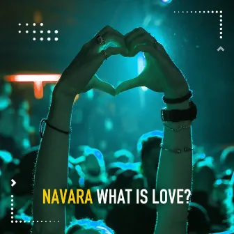 What Is Love? by Navara