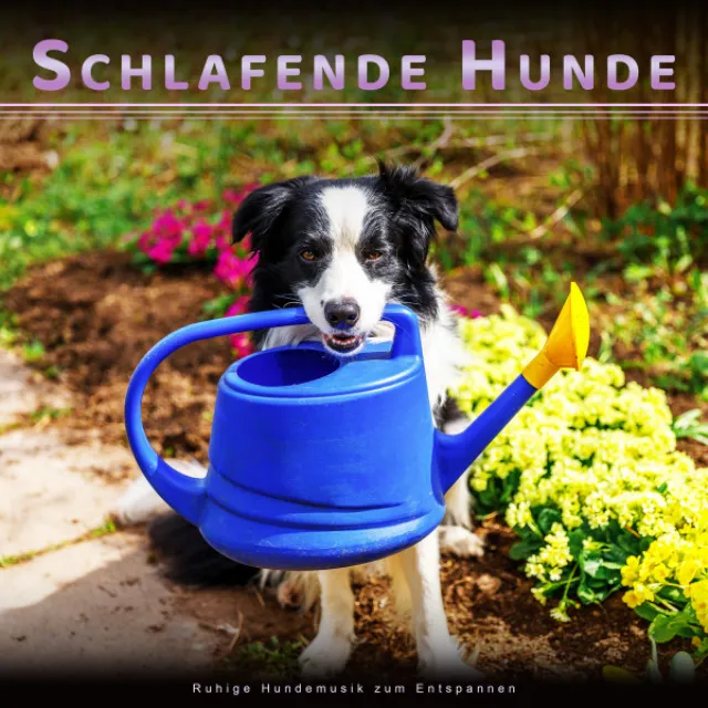 Hundemusik für Haustiere