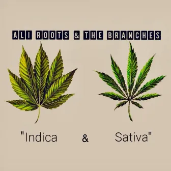 Indica & Sativa by Ali Roots