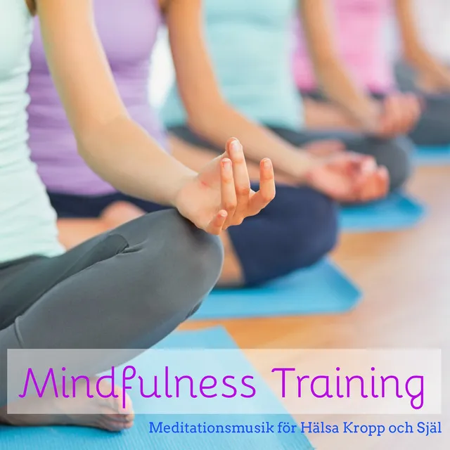 Mindfulness Training