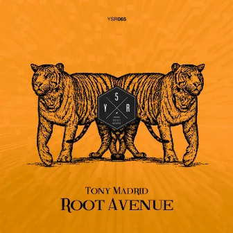 Root Avenue by Tony Madrid