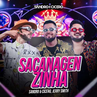 Sacanagenzinha (Ao Vivo) by Sandro e Cícero