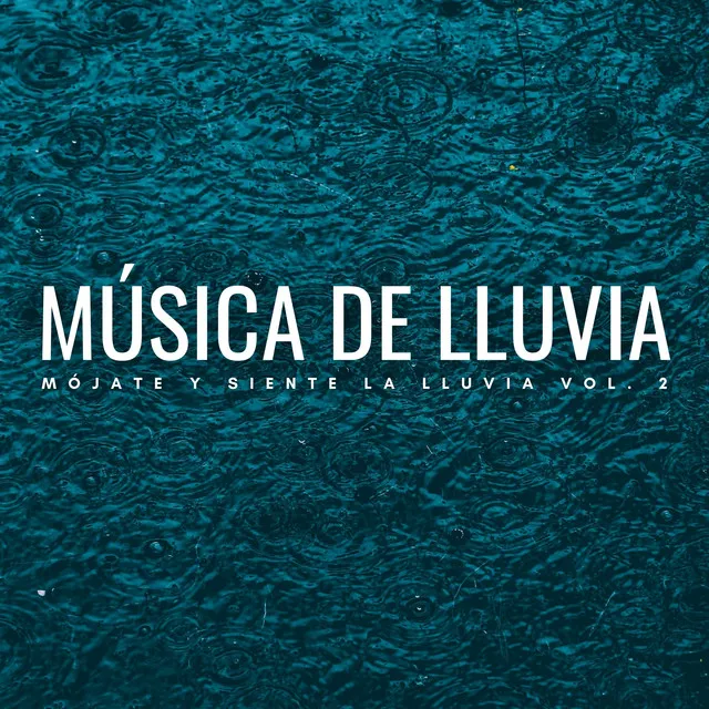 Música De Lluvia: Mójate Y Siente La Lluvia Vol. 2