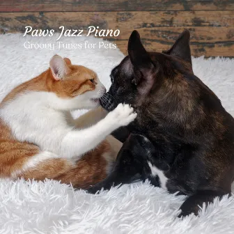 Paws Jazz Piano: Groovy Tunes for Pets by Weekend Coffee