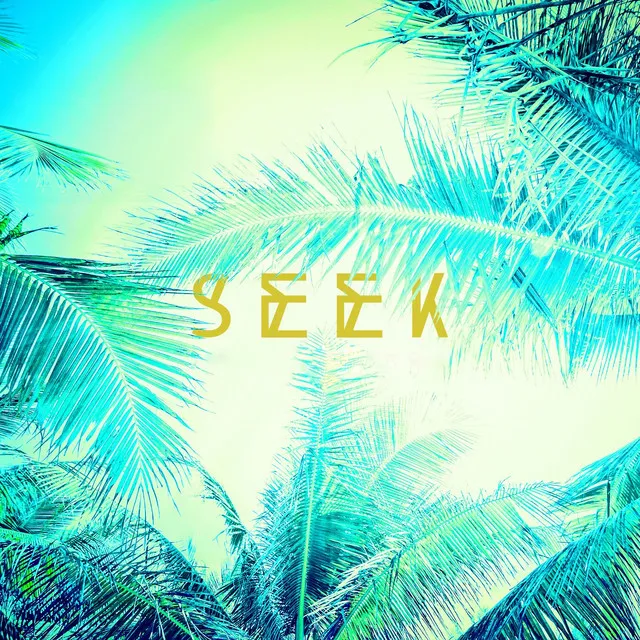 Seek