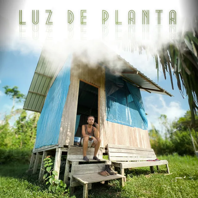 Luz de Planta