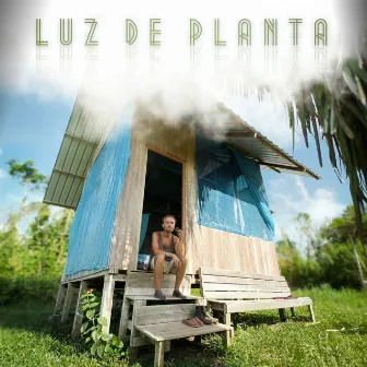 Luz de Planta by Cantante Dourado