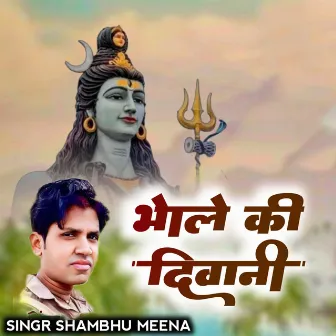 भोले की दीवानी by Shambhu meena