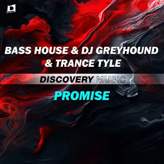 Promise by Bass House